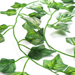 SZTUCZNY BLUSZCZ ROŚLINA WISZĄCA NA ŚCIANĘ BALKON SZTUCZNE LIŚCIE 25M 12SZT