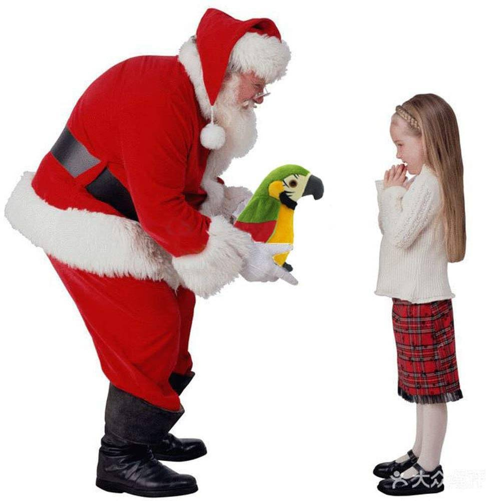 GADAJĄCA PAPUGA INTERAKTYWNA PRZEDRZEŹNIACZ TAŃCZY MÓWI POWTARZA ŚPIEWA XXL