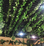 SZTUCZNY BLUSZCZ ROŚLINA WISZĄCA NA ŚCIANĘ BALKON SZTUCZNE LIŚCIE 25M 12SZT