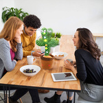 KAKTUS ŚPIEWAJĄCY TAŃCZĄCY POWTARZA MÓWI TAŃCZY POWTARZA ŚWIECI PIOSENKI