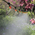 KURTYNA WODNA OGRODOWA DO OGRODU MGIEŁKA ZRASZANIE NA DZIAŁKĘ KLIMA WĄŻ 20m