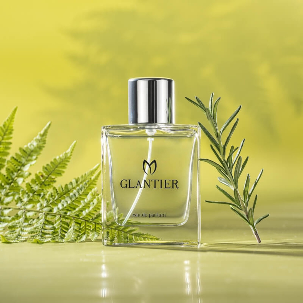 GLANTIER 771 PERFUMY DLA MĘŻCZYZN 50 ml AROMATYCZNO-PAPROCIOWY ZAPACH MĘSKI